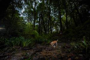 BIB: 
                            <button type="button" onclick="openModal(19237792)" class="btn btn-primary btn-sm float-right btn-popup" data-toggle="modal" data-target=".modal-high-quality">
                        <i class="fas fa-shopping-cart"></i> Add to Cart
                    </button>
                                            <button type="button" onclick="isThisMe(19237792, true)" class="btn btn-success btn-sm float-right btn-popup btn-isme hidden" data-toggle="tooltip" data-placement="bottom" title="นี่คือรูปของคุณใช่ไหม คลิกที่นี่เพื่อเอาเข้าอัลบั้ม">
                        <i class="fas fa-plus"></i> Add to album
                    </button>
                    <button type="button" onclick="isThisMe(19237792, false)" class="btn btn-warning btn-sm float-right btn-popup btn-isnotme hidden">
                        <i class="fas fa-ban"></i> Remove from album
                    </button>